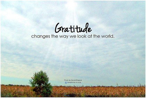 Gratitude As a Habit Gratitude As a Habit