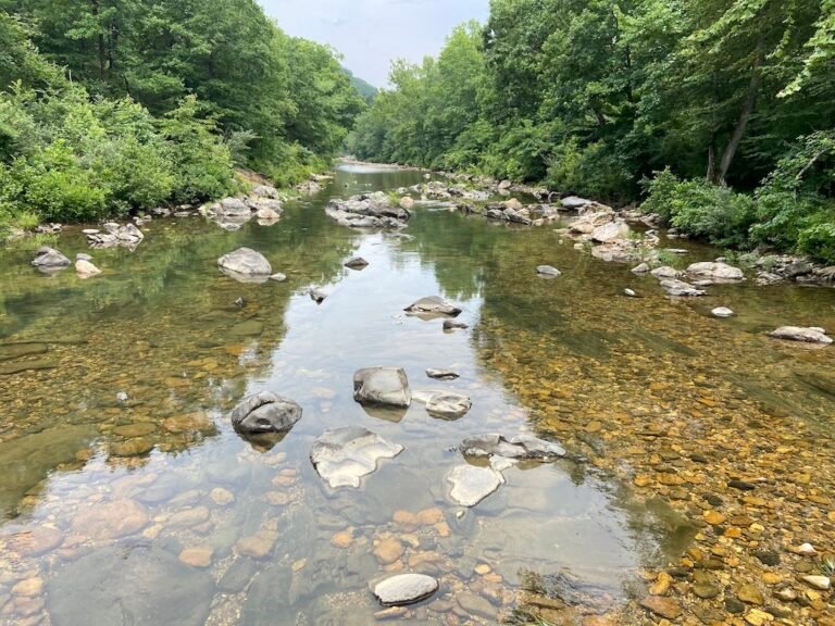 A long five years since I turned 50