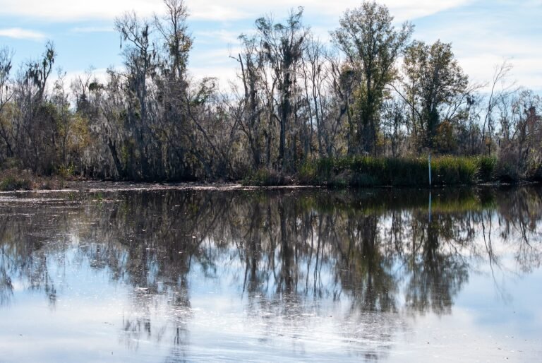 Ending the Year With a Perfect Metaphor for 2023 Ending the Year With a Perfect Metaphor for 2023